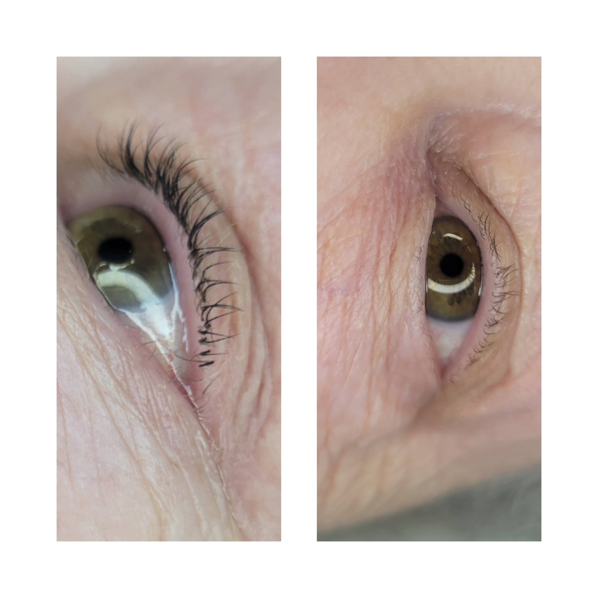 lash extensions, classic lash extensions, eyelash extensions
